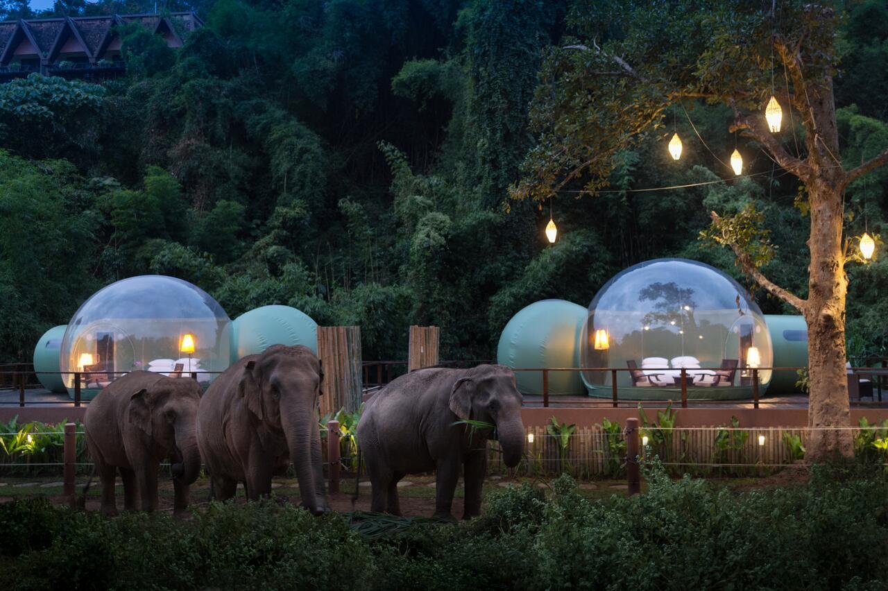 el Anantara Golden Triangle - Suites transparentes con vistas a los elefantes