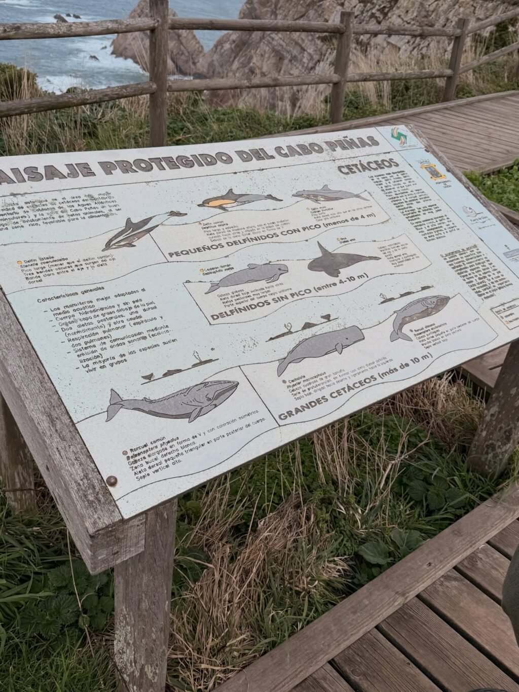 Instagram post from hospitalidad_natural. This post is in position 5.