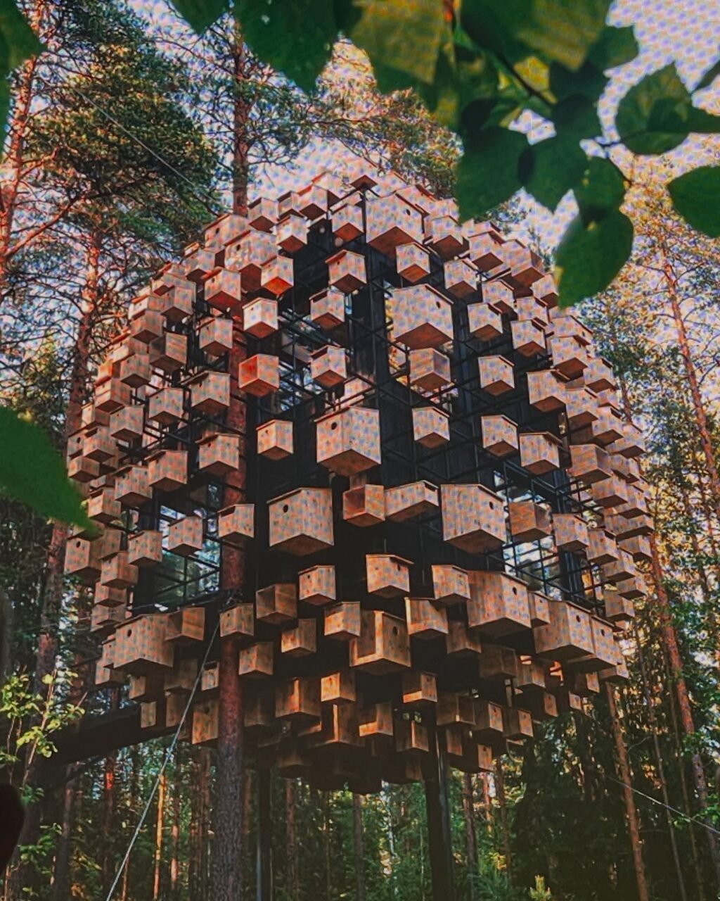 Instagram post from hospitalidad_natural. This post is in position 14.
