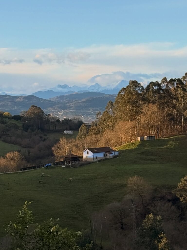 Instagram post from hospitalidad_natural. This post is in position 1.