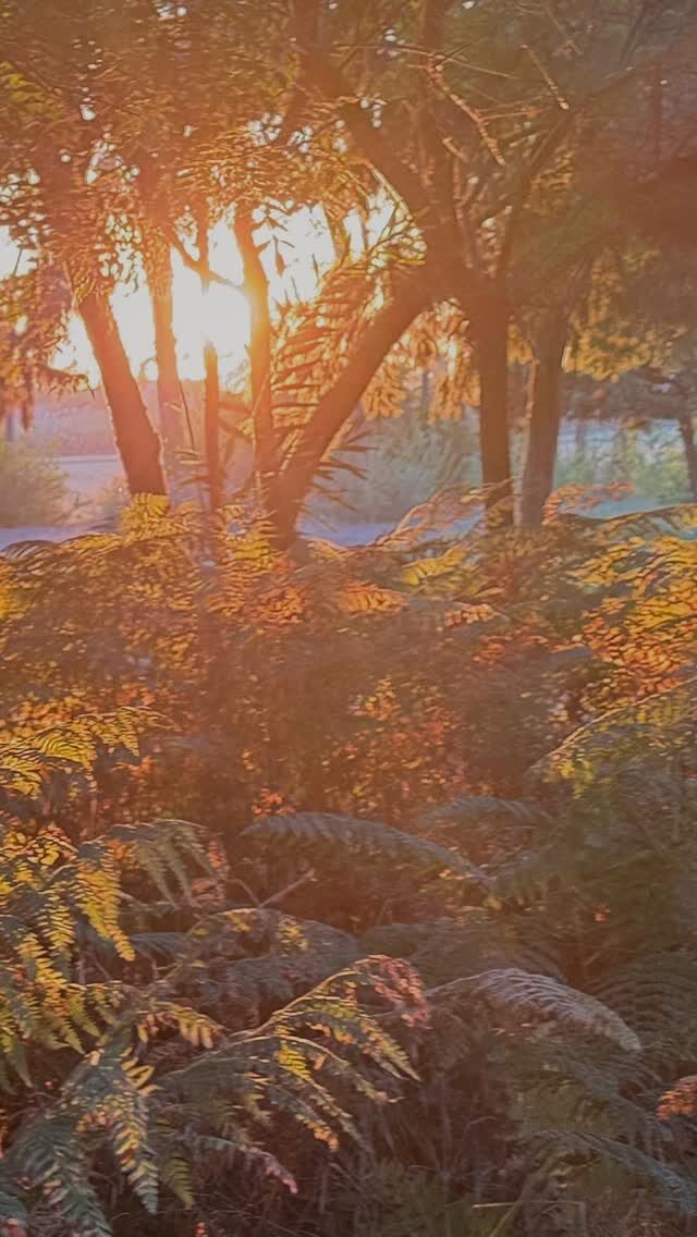 Instagram post from hospitalidad_natural. This post is in position 1.