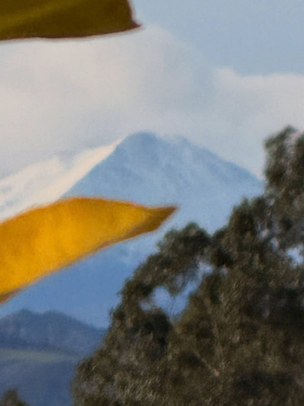 Instagram post from hospitalidad_natural. This post is in position 4.